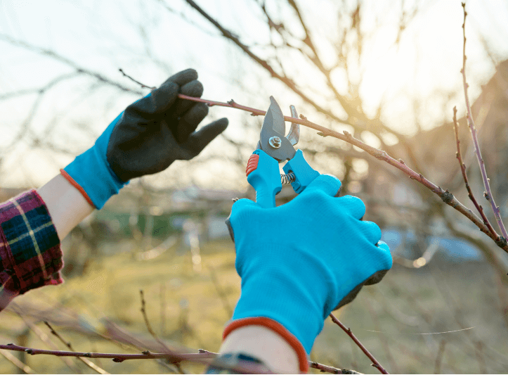 Detalle de una mano sujetando unas tijeras pequeñas de podar árboles y plantas
