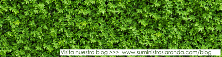 imagen corporativa 5 blog